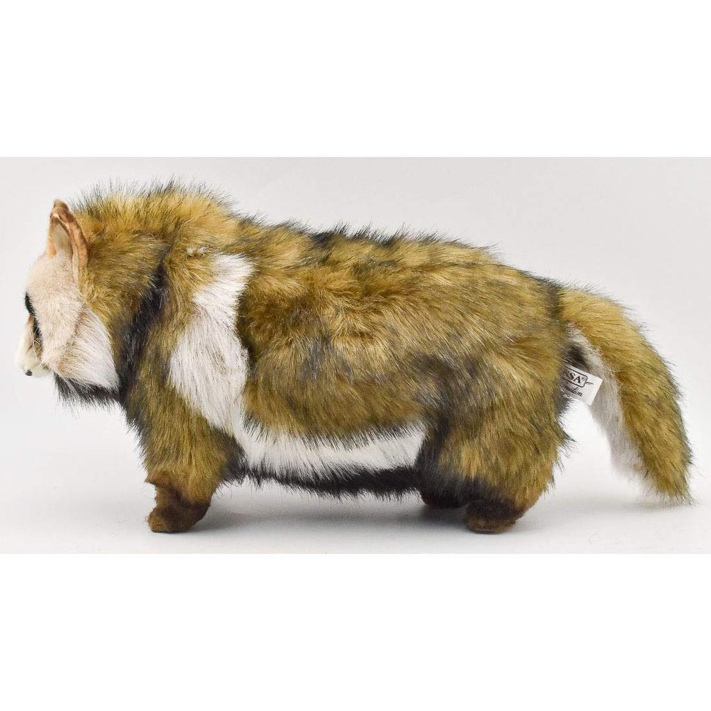 BH7256 HANSA Raccoon 46