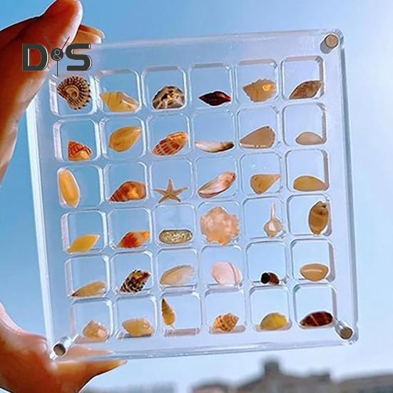 Acrylic Magnetic Seashell Display Box 36/64/100 Grids Square Small Crafts Natural Stone Nail Art Bead Charm Jewelry Show Organizer Container Case