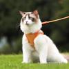 Reflective Vest-Style Cat Harness with Anti-Shedding Leash