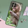 Милая Обезьянка Животное Для Samsung Galaxy M23 M12 M13 M14 M15 M35 M55 M34 M54 M33 M53 M31 M11 M32 M52 M06 M16 Чехол