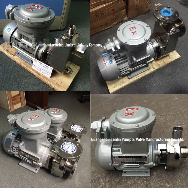 Stainless Steel Acid & Alkali Resistant Explosion-Proof Self-Priming Pump 50SFBX-22