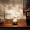 Remote Control Ocean Wave Projector Light Dynamic Water Ripple Night Light  Living Room