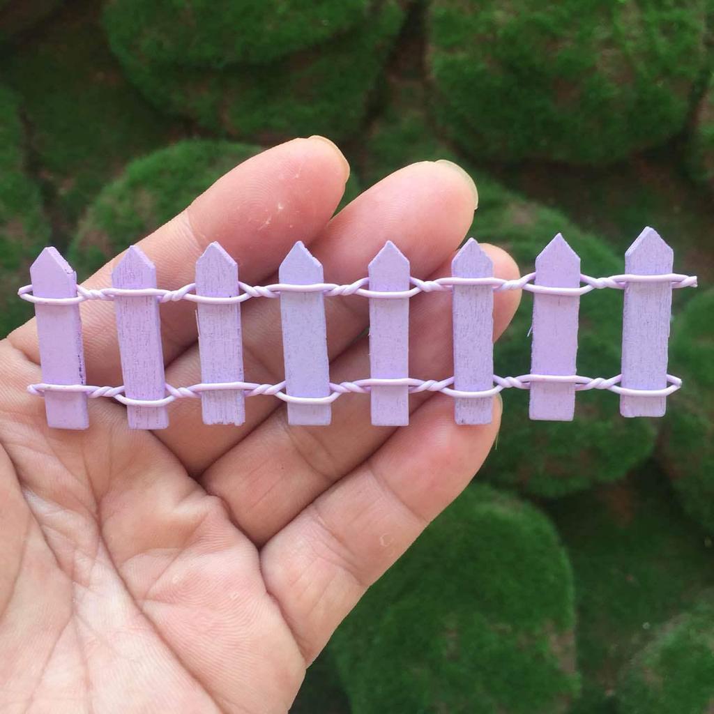 Набор из восьми мини-суккулентов на деревянном заборе