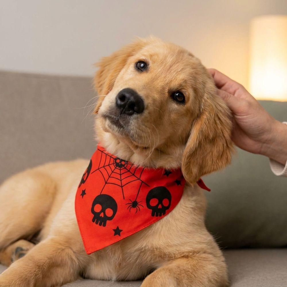 Spider Bat Pattern Pet Halloween Bandana Pumpkin Ghost Print Dog Holida Bibs Photo Props