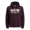 Jack & Jones Hoodie Logo 2 Col