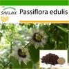 Purple Granadilla - 40 Seeds - With Potting Substrate for Better Cultivation - Passiflora Edulis