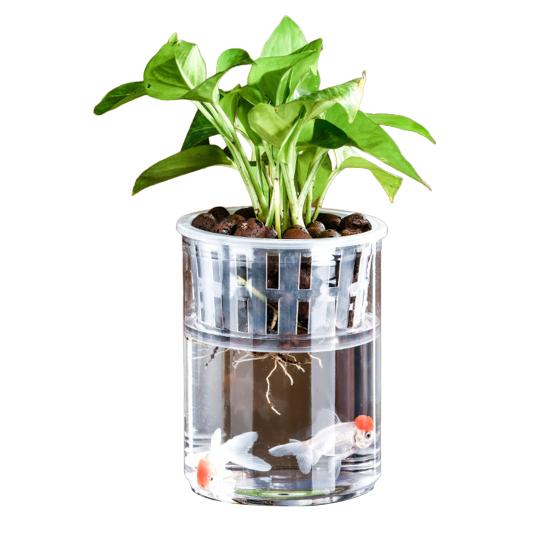 Аквапонный аквариум для рыбок петушков Прозрачный пластиковый ударопрочный горшок Экосистема Аквариум Настольная аквапонная система для домика рыбок петушков Комнатные растения
