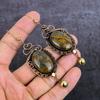 Серьги-ювелирные изделия из натуральной фруктовой яшмы с медной проволокой 3,55 дюйма P2y70