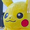 With Tag Cute Pikachu Plush Doll Anime Pokemon Kawaii Stuffed Plush Toys Soft High Quality Christmas Gifts For Children