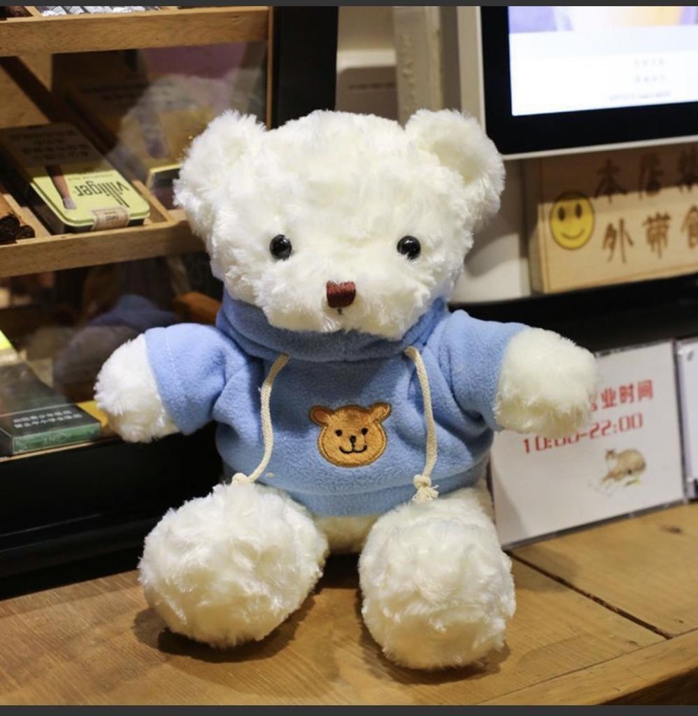 Teddy Adorable Bear Hoodie Cute Girl Kids Companionship Plush Toy Birthday Gift