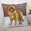 Tibetan Mastiff Pillowcase  Modern Home Living Room Decoration