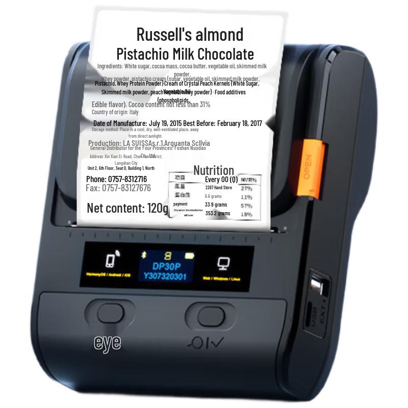 Detong Smart Thermal Handheld Label Printer DP30P CN plug (adapter included)