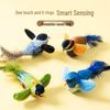 Cat Teaser: Feather Bird Toy for Kitten Chewing, Scratching, and Self-Entertainment