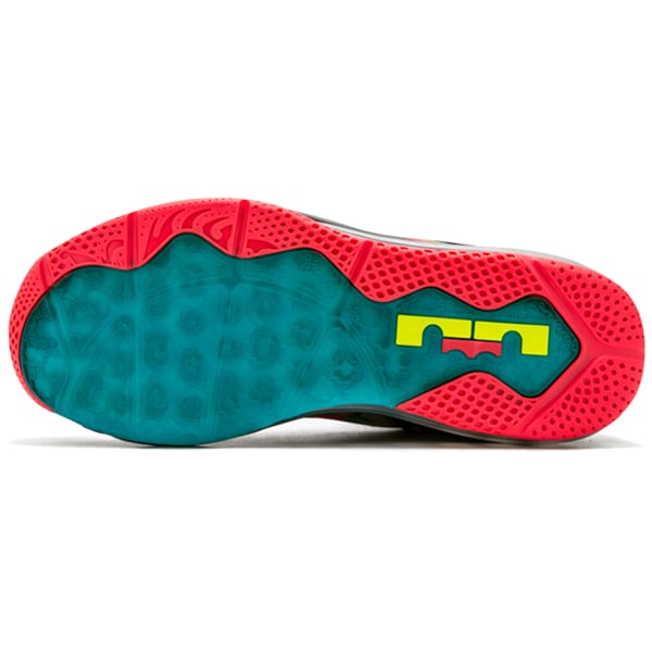 Nike LeBron 11 Low Se Мультиколор 695224-970