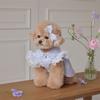 Кружевное платье принцессы для собаки с оборками, модная юбка с рукавами-крылышками для кошки, товары для питомцев, одежда для питомцев, лето