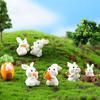 Micro Landscape Cute Cartoon Mini Carrot Rabbit Horticultural Resin Ornaments Bonsai Animal Decoration