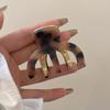 Clip Hairpin Female Hair Accessories Korean Style Headwear Acetic Acid Hair Clip Metal Hair Claw