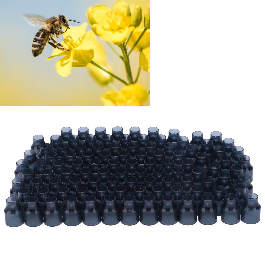 100 шт. пластиковых ячеек для выращивания маток, принадлежностей для пчеловодства
