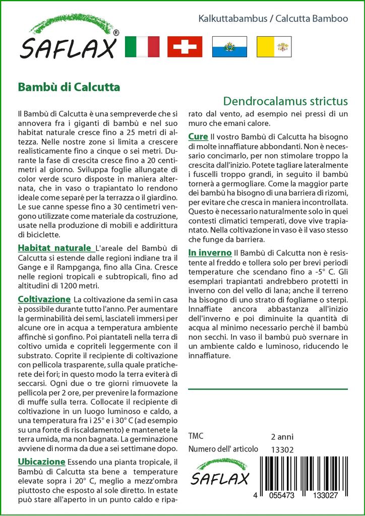 SAFLAX Калькуттский бамбук - 50 семян - Dendrocalamus strictus