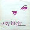 12inch Record VOICES PRESENT INDIVIDUAL - Sky High (Stonebridge Remixes) SOMTR17 Sound Of Minist 1996 UK Dance & Electronica Used