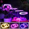 Светодиодный светильник Angel Ring Grow Light DC5V USB Full Spectrum Phyto LED для растений, цветов, теплиц, рассады, светильники для роста