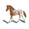 Schleich Horse Club Аппалуза Набор для тренировки лошади Фигурка 42433
