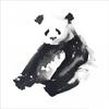 Эйми Дель Валле Panda Time Print