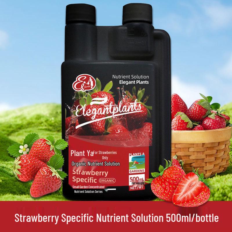 Organic Water-Soluble Strawberry Fertilizer for Potted and Soilless Plants (Slow-Release Concentrated Nutrient)