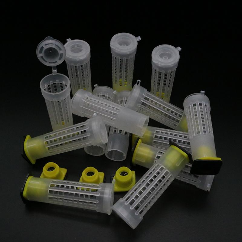 Complete Bee Queen King Rearing Kit System Cages Bees Tools Set Supplier Tool Equipment Base Celular Cells Cell Beekeeping