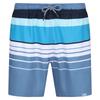 Regatta Mens Loras Striped Swim Shorts