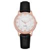 Diamond Inlaid Luminous Watch Women's Belt Women's Watch Quartz Watch Watch