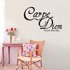 Carpe Diem Seize The Day Наклейка на стену в гостиную и спальню на английском языке