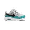 Nike Детские кроссовки Air Max SC TD Photon Dust Washed Teal Серый Белый Черный CZ5361-008