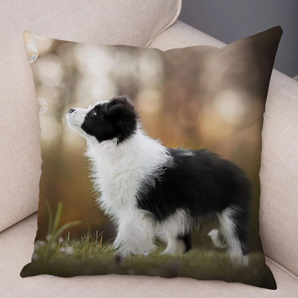 Soft Plush Cute Pet Animal Cushion Cover Scotland Border Collie Pillowcase for Sofa Car Decor Dog Printed Pillow Case
