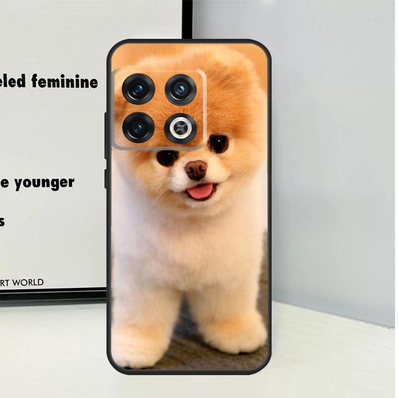 Pomeranian Dogs Dog Colorful For OnePlus Nord CE 5 2 3 4 Lite N20 N30 Case For OnePlus 15 13 12 11 10 Pro 10T 12R 13R 13T