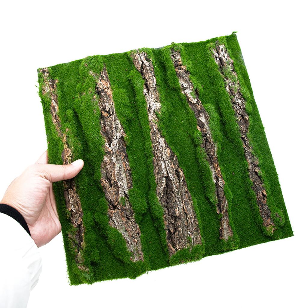 Natural Bark Moss Backdrop Board for Terrariums and Reptile Safe and Mold Resistant Habitats Background for Amphibian