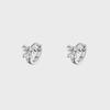Small Zircon Butterfly Earrings for Women - Simple 925 Silver, Versatile Design