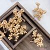 Natural Dried Pine Cones for Christmas Tree Decoration, Photography Props, Floral Wreaths, and Bouquets.