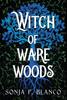 Книга Witch Of Ware Woods 1 by Sonja F Blanco - Hardback