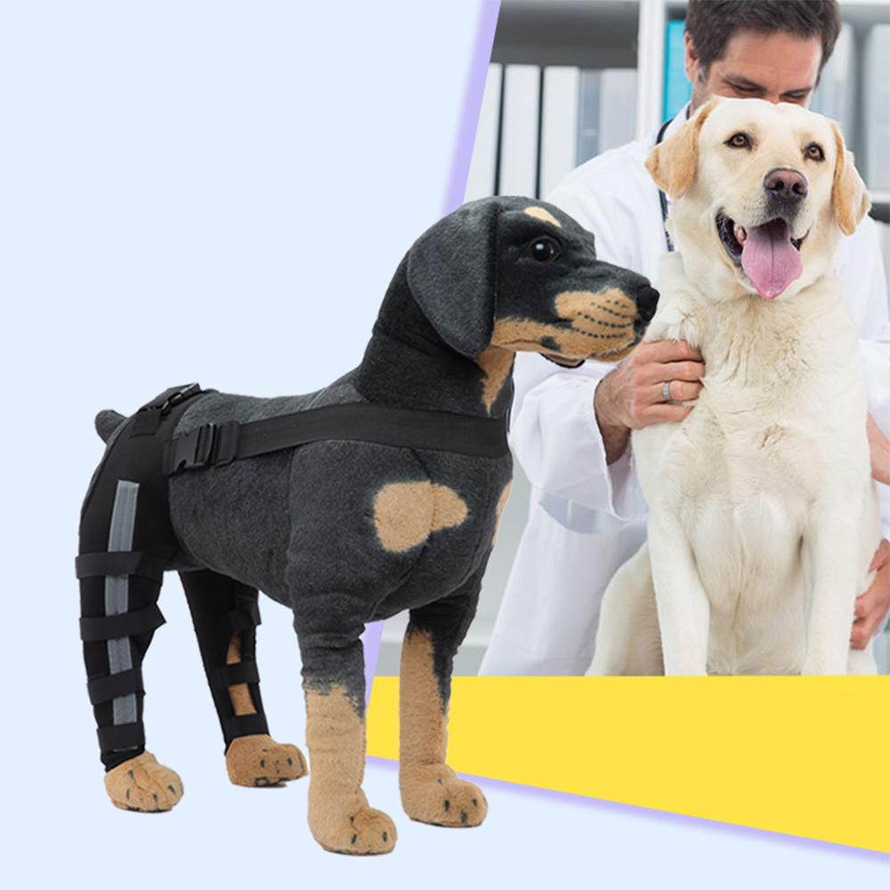 Наколенник для домашних собак, бандаж для ног при растяжении связок, артрит, сустав, поддержка задней ноги собаки