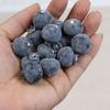 Blueberries Fruit Home Decor Kitchen Display Offices