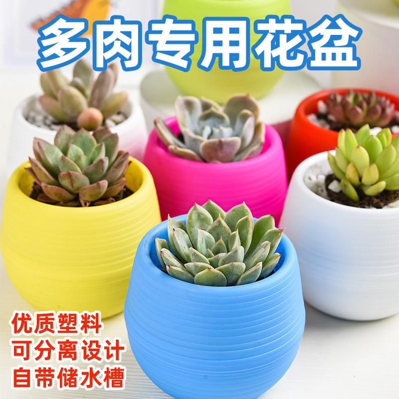 5/10 шт. Мини-горшки для суккулентов и маленьких растений DIY Сменные кашпо с дренажным отверстием и резервуаром для воды