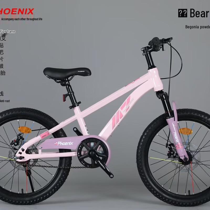 Phoenix Kids Mountain Bike