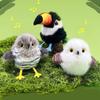 Plush Cat Toy With Bird Sounds For Multicat Homes And Calming Fun