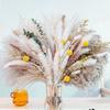 Source Yunnan Dried Flower Bouquet Combination, Real Flower Pampas Grass Home Decoration Reed Rabbit Tail Grass Dried Flowers