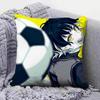 Bachira Bllk  Home Sofa Cushion Covers and Aecorative Custom Pillow Covers