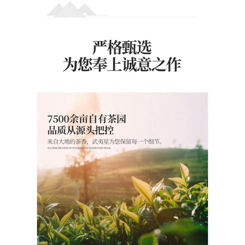 WuyiStar New Big Red Robe Da Hong Pao Tea Dahongpao Oolong Tea Yan Cha 105g
