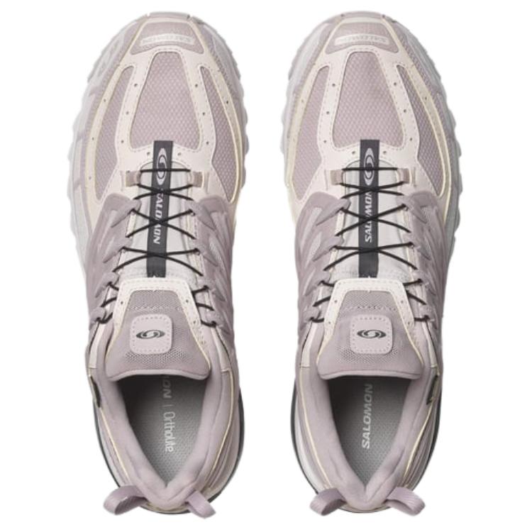 SALOMON Кроссовки унисекс ACS Pro GORE-TEX Cloud Grey Lilac Ash Nine-Iron L47599600