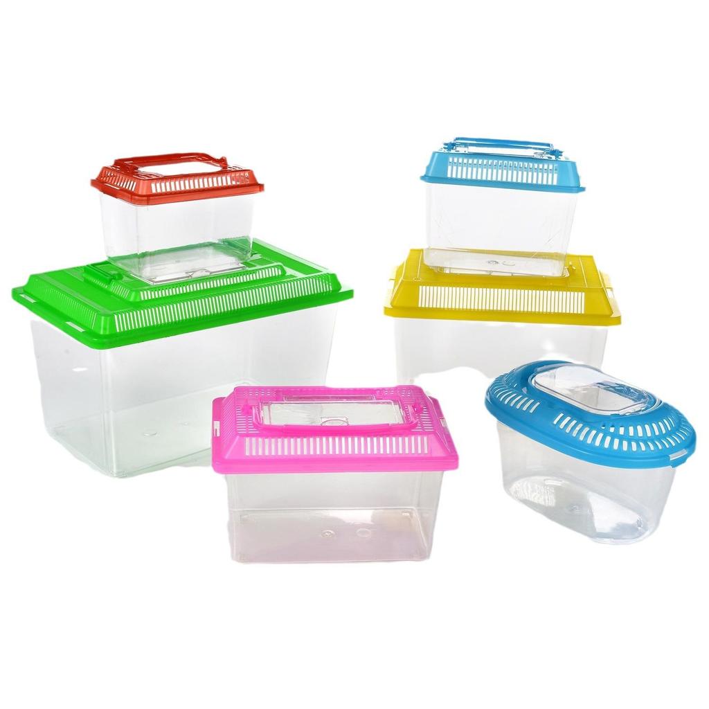 Children's Portable Transparent Pet Transport Box: Small to Large Fish/Turtle Tank