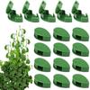30Pcs Climbing Plant Wall Clips Leaf-Shaped Plant Fixer with Glue Tape Hanging Plant Tools Tomato Vine